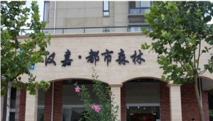 合肥潜山路汉嘉都市森林hanjia
